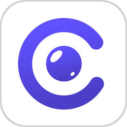 CamFind App Low Vision within Accessibility Apps on  iAccessibility.Com