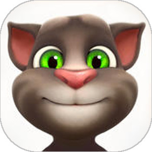 Talking Tom Cat Cognitive & Intellectual App for iAccessibility offering Solutions for Accessibility in Kansas City Missouri