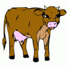 Catch The Cow Accessible Fun & Games App for iAccessibility offering Solutions for Accessibility in Kansas City Missouri